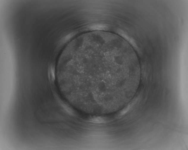 X0000112160062200908141243