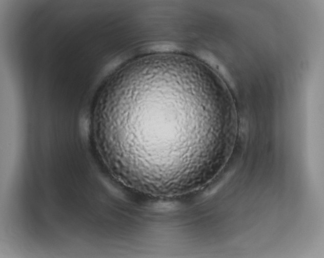 X0000112160063200908141243