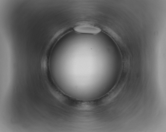 X0000112160064200908141243