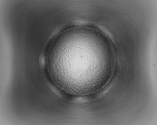 X0000112160067200908141243