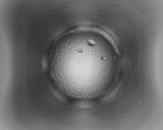 X0000112160069200908141243