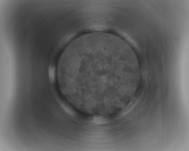 X0000112160070200908141243