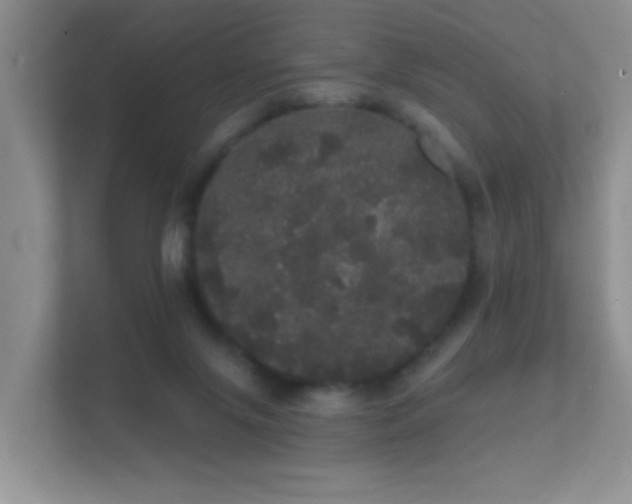 X0000112160071200908141243