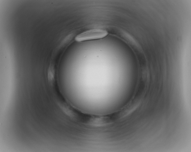 X0000112160072200908141243