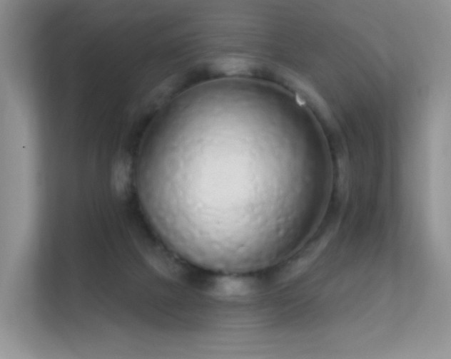 X0000112160073200908141243