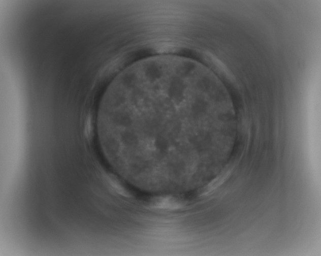 X0000112160074200908141243