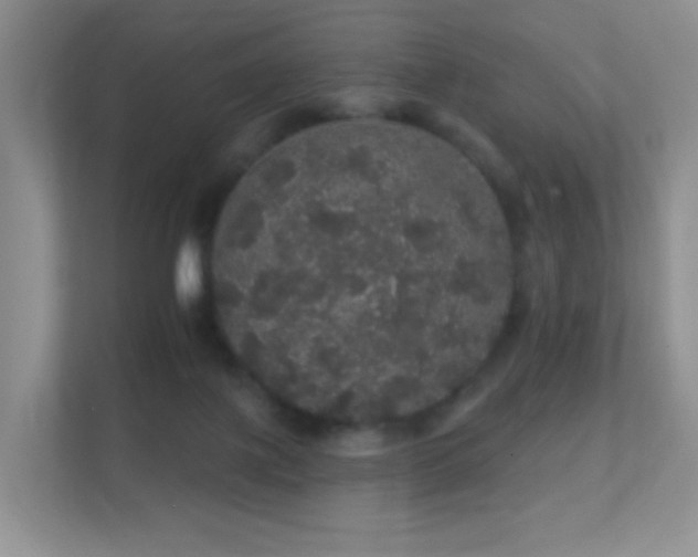 X0000112160075200908141243