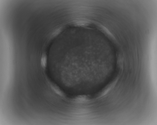 X0000112160076200908141243