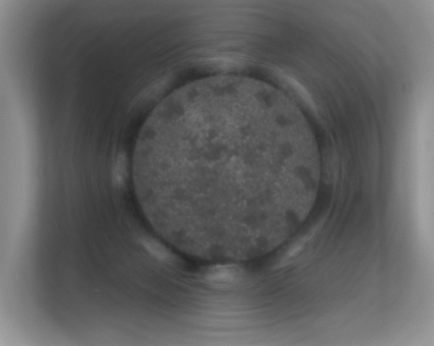 X0000112160077200908141243