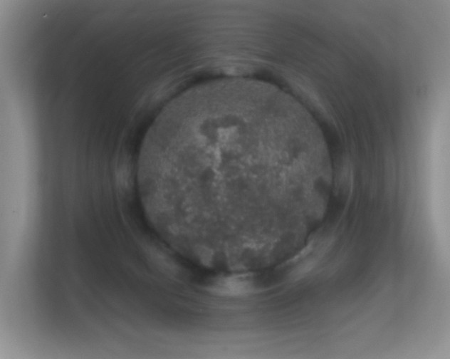 X0000112160078200908141243