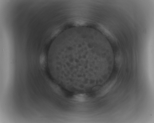 X0000112160079200908141243
