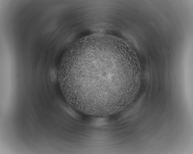 X0000112160081200908141243