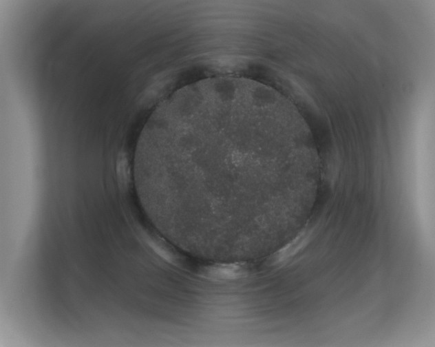 X0000112160086200908141243