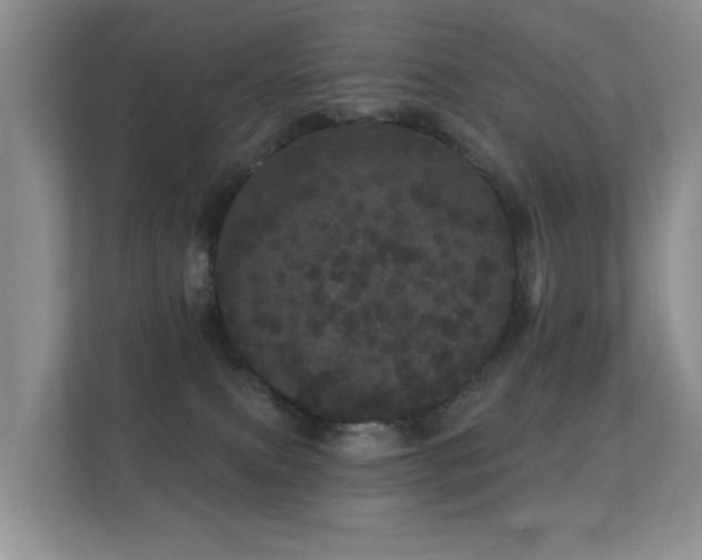 X0000112160087200908141243