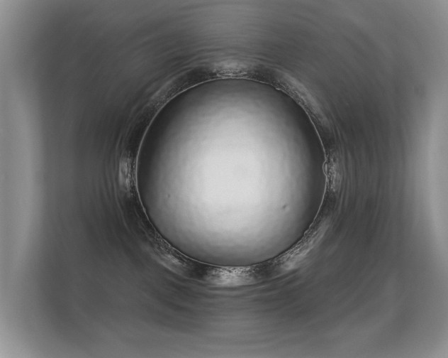 X0000112160093200908141243