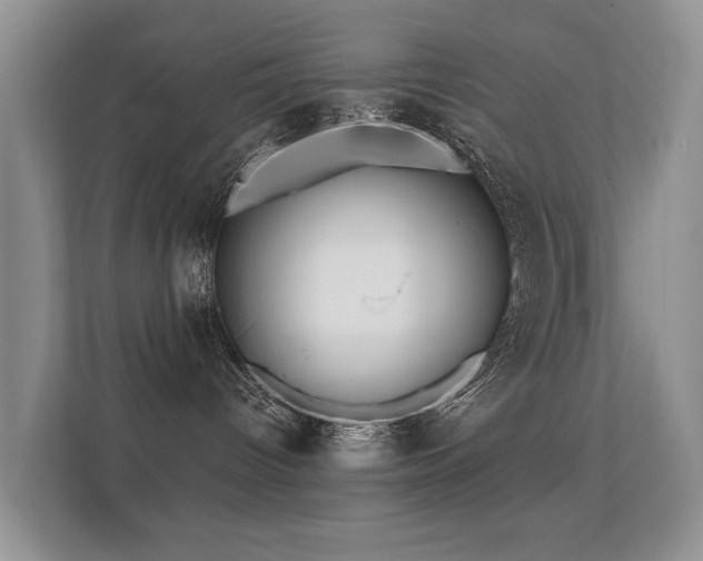 X0000112160096200908141243