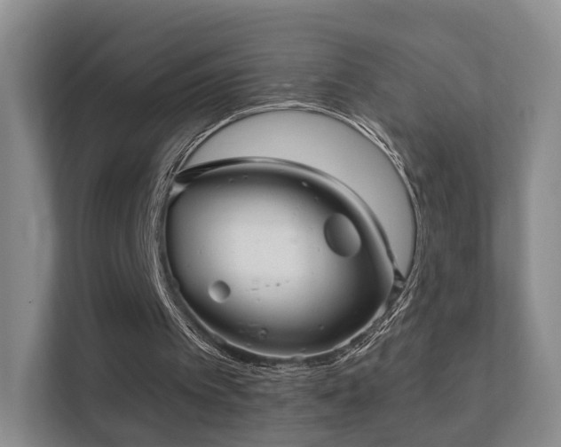 X0000112160097200908141242