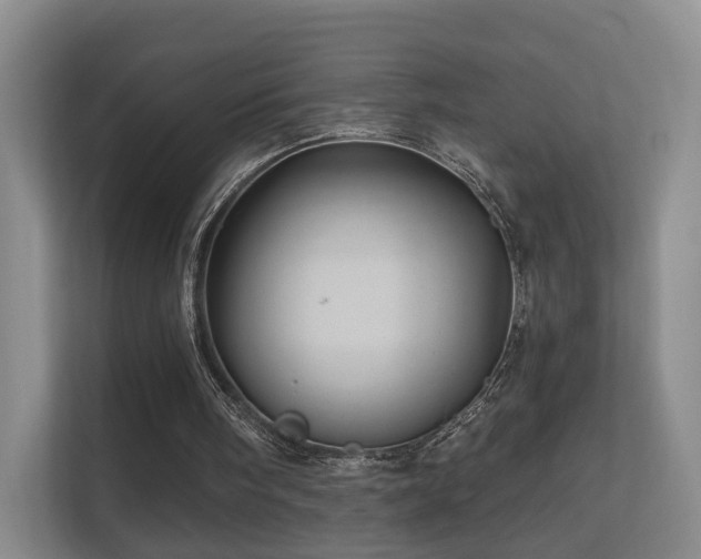 X0000112160098200908141242