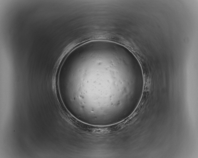 X0000112160099200908141242