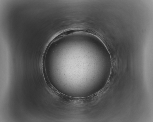 X0000112160100200908141242