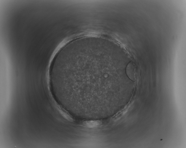 X0000112160102200908141242