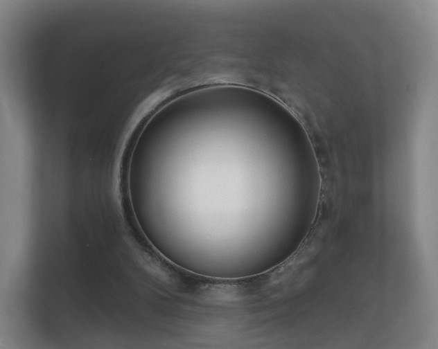 X0000112160104200908141242