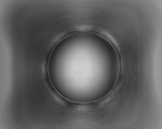 X0000112160105200908141242