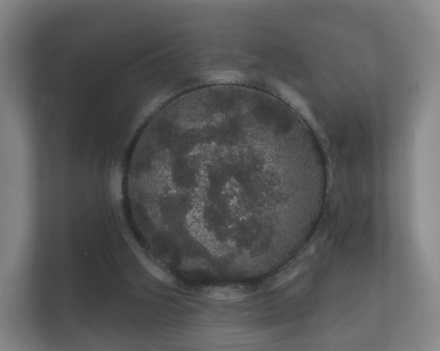 X0000112160106200908141242