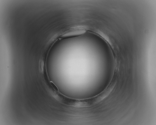 X0000112160109200908141242