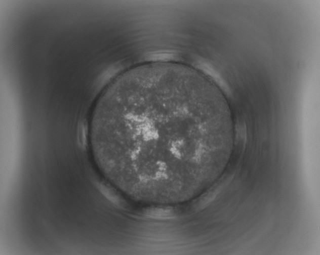 X0000112160110200908141242
