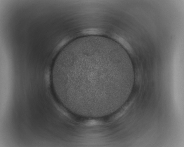 X0000112160111200908141242