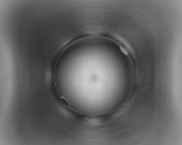X0000112160113200908141242