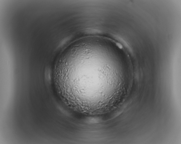 X0000112160115200908141242