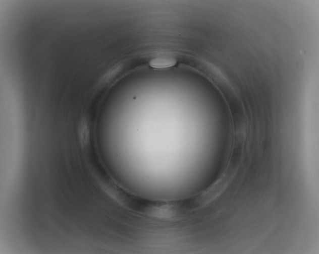 X0000112160120200908141242