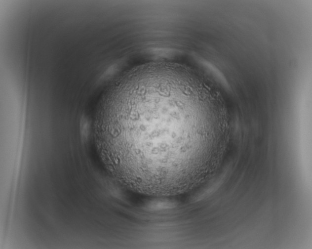 X0000112160123200908141242