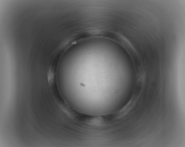 X0000112160124200908141242