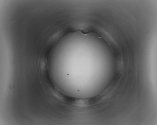 X0000112160126200908141242