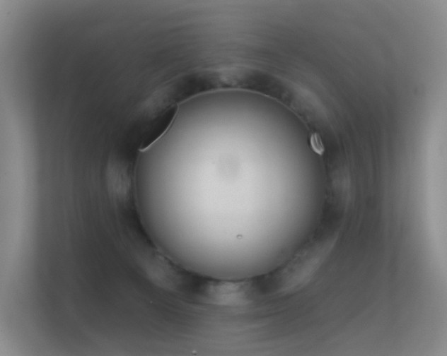 X0000112160129200908141242