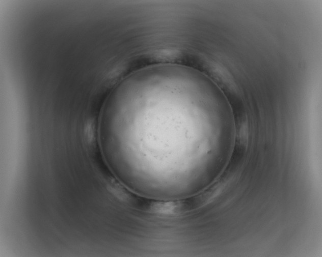 X0000112160131200908141242