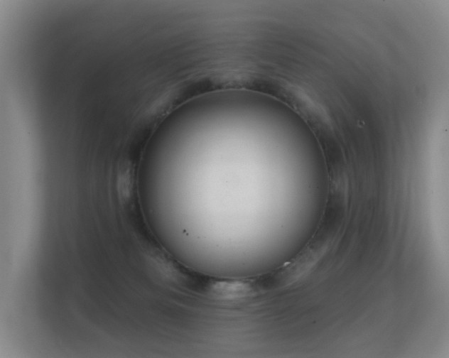 X0000112160133200908141242