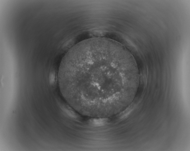 X0000112160134200908141242
