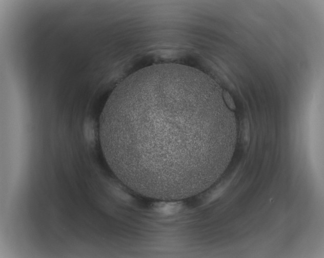 X0000112160135200908141242