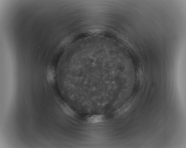 X0000112160138200908141242