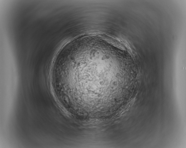 X0000112160145200908141241