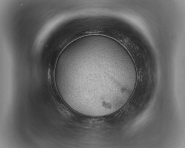 X0000112160146200908141241