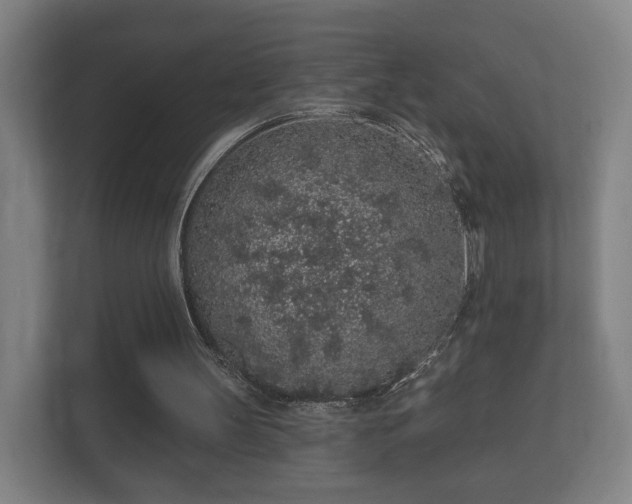 X0000112160147200908141241