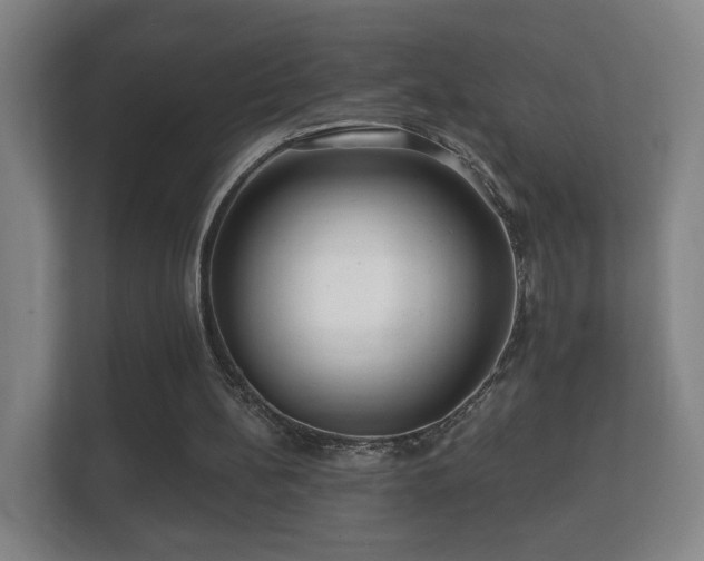 X0000112160148200908141241