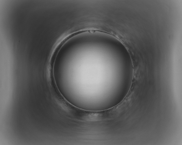 X0000112160152200908141241