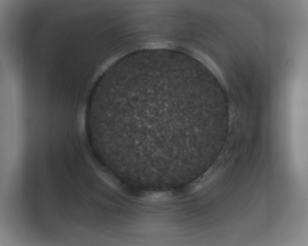 X0000112160155200908141241