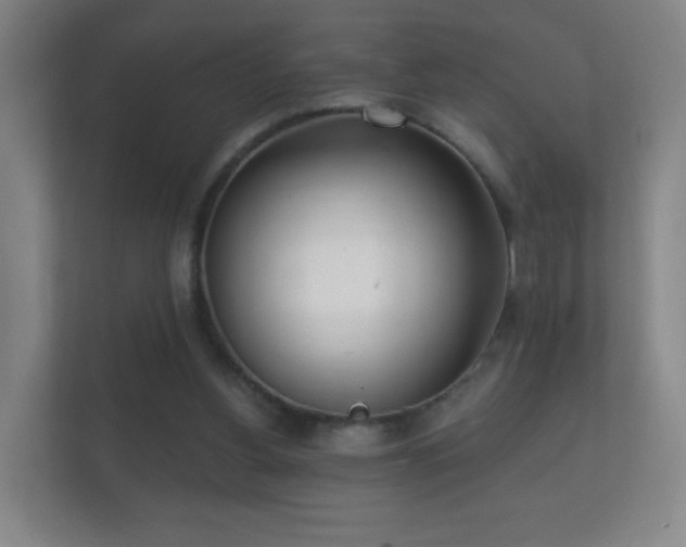 X0000112160156200908141241